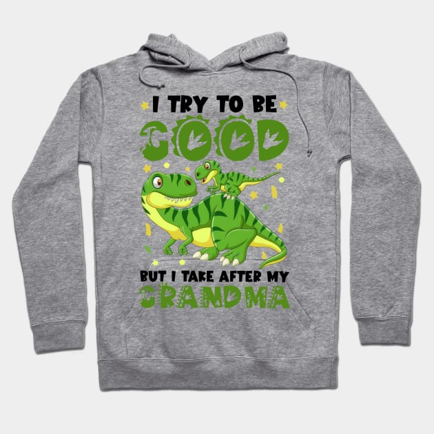 Dinosaur I Try To Be Good But I Take After My Grandma Hoodie by Benko Clarence